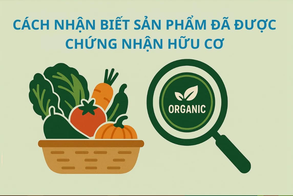 Làm sao kiểm tra một chứng nhận?